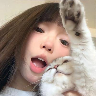 蛇和猫鼬海报